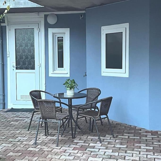 Colmar,Appart Chaleureux 2 Pas Centre Avec Jardin מראה חיצוני תמונה