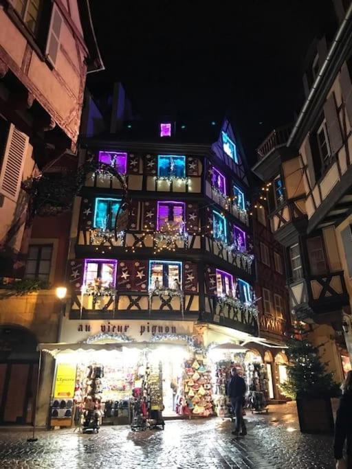 Colmar,Appart Chaleureux 2 Pas Centre Avec Jardin מראה חיצוני תמונה